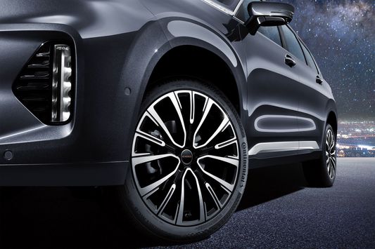 20-дюймовые диски*